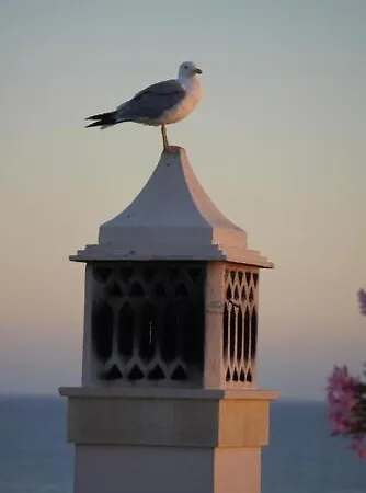 Ocean View * カルヴォエイロ